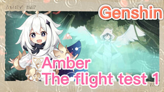 Amber The flight test 1