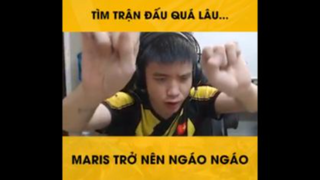 Tìm trận đấu quá lâu Maris trở nên ngáo