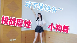 [又同志x我不是铁头] Khi bố mẹ tôi không có nhà❤️Thách thức điệu nhảy tẩy não thần kỳ của cún con❤️~Gâu gâu!