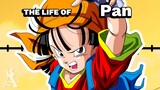 The Life Of Pan (Dragon Ball)