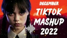 tiktok Mashups December 2022