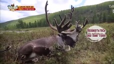 Law of the Jungle in Mongolia [9 END] SUB INDO