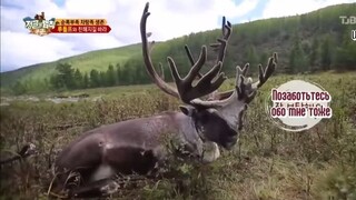 Law of the Jungle in Mongolia [9 END] SUB INDO