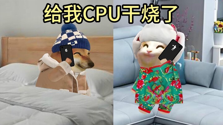 啥玩意谁和谁结婚了，给我cpu干烧了！