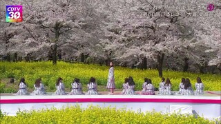 Nogizaka46 + Sakurazaka46 + Hinatazaka46 - @CDTV Live! Live! (30th Anniversary Special)