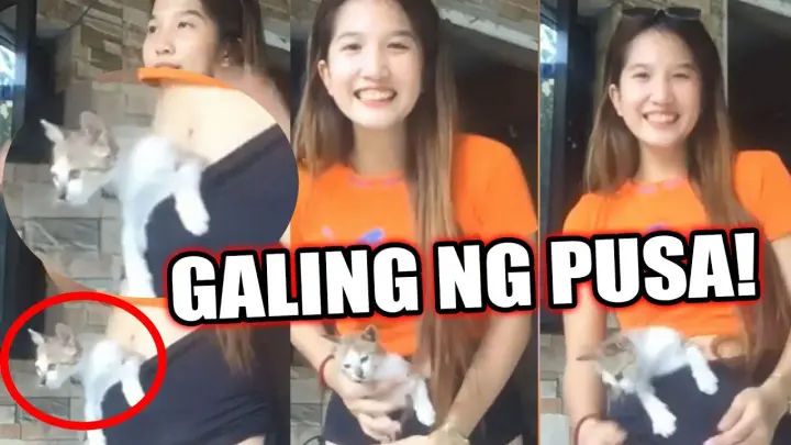ANG GALING NAMAN NG PUSA NI ATE |  Funny Videos Compilation
