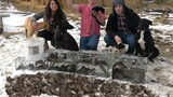 [Chó cưng] Chó và chồn kết hợp, diệt 150 con chuột trong nông trường
