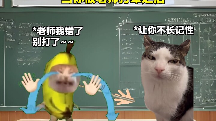 当你被老师打晕之后 #学生时代 #逆天 #猫Meme