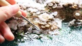 【MicroLandscape】Sculpting a winter landscape