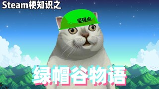 游戏梗知识：绿帽谷物语