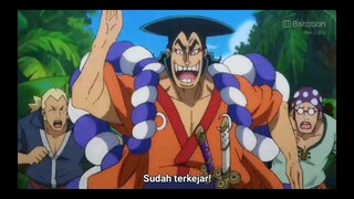 yo,samurai!... KAMUSARII! | epic moment shirohige vs roger #one piece#