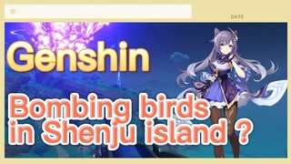 Bombing birds in Shenju island ?