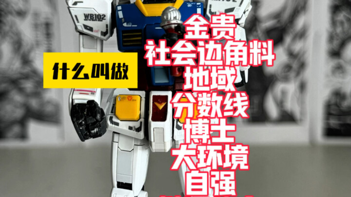 什么叫做金贵社会边角料地域分数线博士大环境自强辩证仙人！