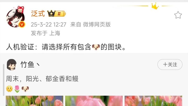 泛式：人机验证：请选择所有包含🐶的图块。