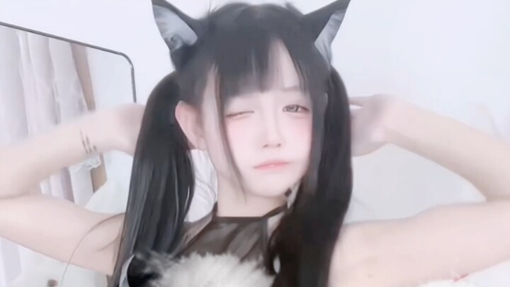 Mèo con