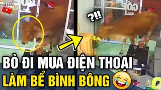 Tin 3 Phút Hài | Tổng hợp tình huống 'HÀI ĐỘNG VẬT' không cười không lấy tiền P9