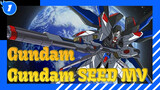Gundam| Gundam SEED MV_1