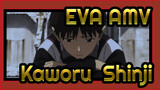 [EVA AMV] Kaworu & Shinji - Wander in the Middle of the Night