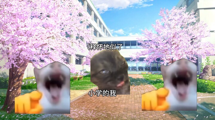 【Cat meme】The story of my mother wearing black stockings when I was in elementary school
