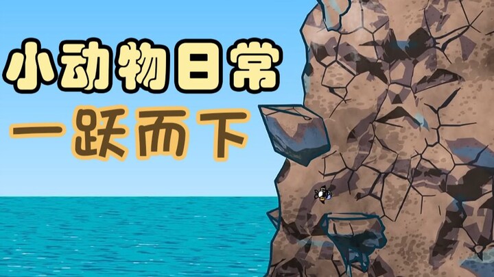 一跃而下🐧🪨🌊-【小动物日常 | Natural Habitat Shorts】中英双字