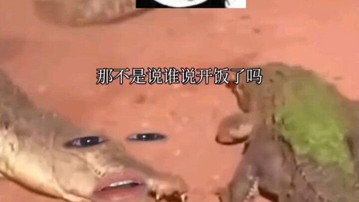 饿了么取餐成功