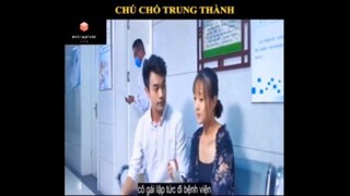 Tóm tắt phim: Chú chó trung thành p2 #videohaynhat