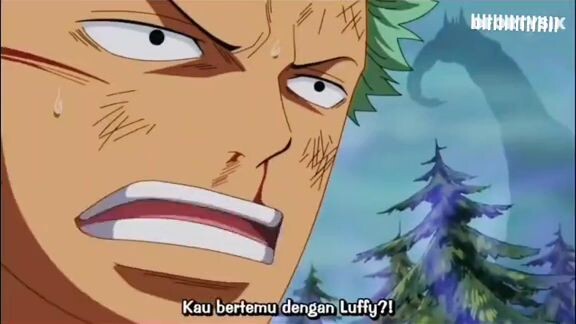 sesuatu yang hilang dari roronoa zoro