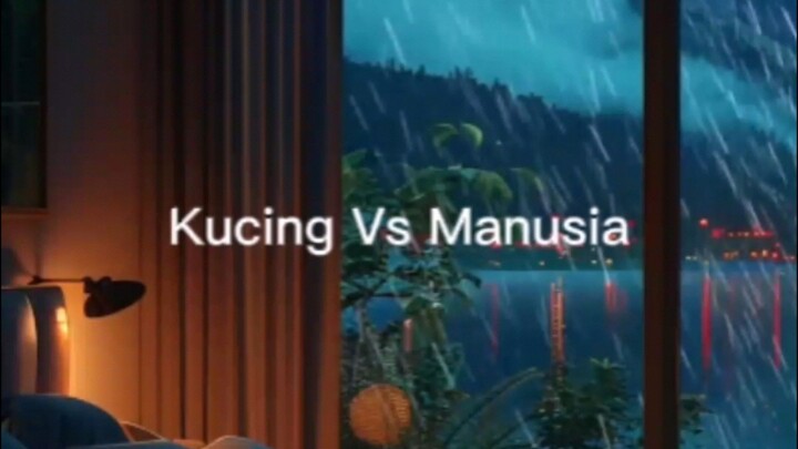 kucing vs manusia