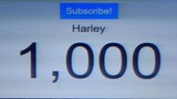 1,000 SUBSCRIBERS SPECIAL! | Harley Highlights | 900Dia Skin Giveaway Announcement