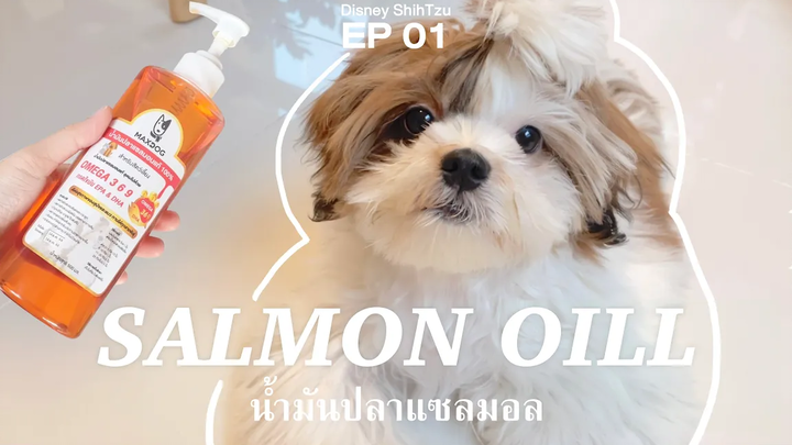 Salmon Oil For Dogs วิวน้ำมันปลาแซลมอนบำรุงขน บำรุงข้อ