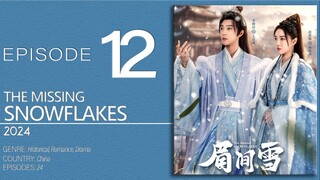 🇨🇳EP12 The Missing Snowflakes ▶2024