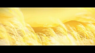夏 Summer (AMV)