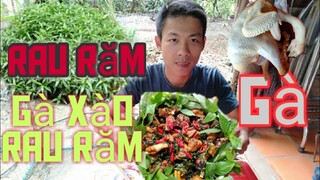 Gà Xào Rau Răm Món Ăn Ngon|Đạt tv