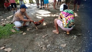naka chamba si pula
