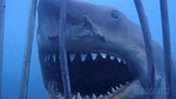 Shark VS Cage | Jaws | CLIP