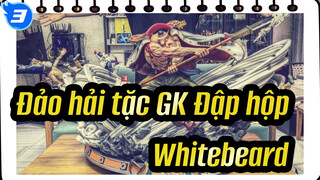 [Đảo hải tặc GK Đập hộp] LBS Whitebeard_3