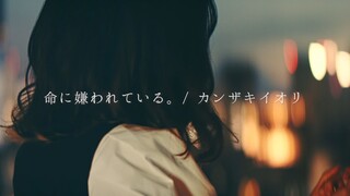 我边哭边唱《命に嫌われている。（生活憎恨我。）》2022ver.【Kohana Lam】