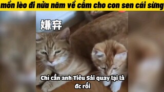 mồn lèo đi nửa năm về cắm cho con sen cái sừng