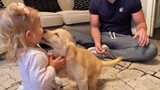 Động vật|Lần đầu gặp nhau của bé và cún