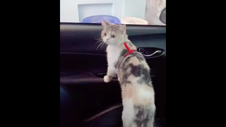เอ็นดูยัยหนูที่สุดในโลกเลยยยย