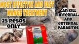 HOW TO USE IVERMECTIN AGMECTIN FOR CATS AND DOGS | GAMOT SA GALIS NG ASO AT PUSA.
