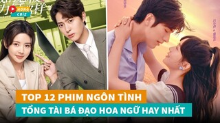 Top 12 phim ngôn tình Tổng Tài Bá Đạo Hoa Ngữ hot nhất lên sóng thời gian gần đây|Hóng Cbiz