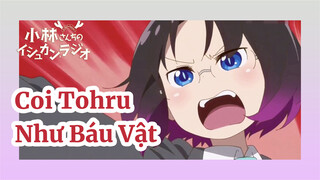 Coi Tohru Như Báu Vật