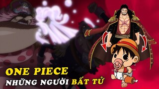 8 người bất tử trong One Piece - Tái sinh , Hấp thụ linh hồn và tráo đổi tuổi thọ