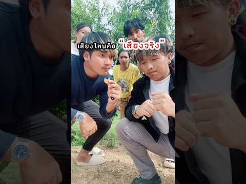 เลียนแบบเสียง “อันไหนเสียงจริง”🔊⁉️ #challenge #ฝากติดตาม #มิสเตอร์แมน #funny #funnyvideo #haha