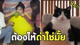 อาจารย์สมแมว ปวดหัวกับสิ่งนี้ !! #รวม​คลิป​ฮา​พากย์ไทย