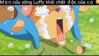 Luffy được cứu#anine#daohaitac#tt#edit