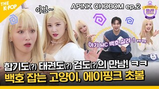 (APINK CHOBOM ep-2) “아기 MC 백호 살려~! ㅠㅠ” 호랑이 잡는 고양이, 에이핑크 초봄 (ENG sub)