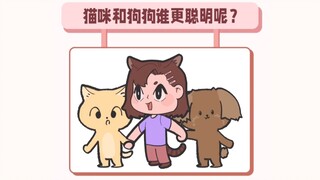 猫咪和狗狗谁会更聪明？