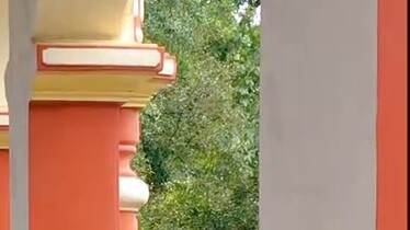 [Debut] Kita masih belum tahu bagaimana cara keluar dari liburan musim dingin dengan damai, kecuali~